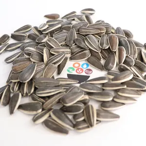 Sunflower Seed 361 Chinese From Inner Monglia Sunflower Seeds Raw