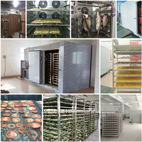 Uitstekende kwaliteit hondenvoer warmtepompdroger, vishuiddroger, rundvleesstrookdehydrator te koop