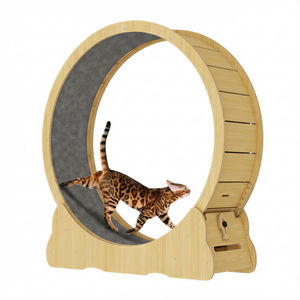 Tapis Roulant Silenzioso per Gatti con Telaio in Legno OEM, Pista Rivestita in Moquette, Ruota per Esercizio Indoor per Gatti Piccoli, Medi e Grandi - Product Image 1