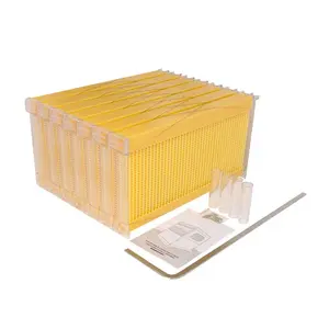 Beat price 7 Pcs Automatic Flowing Bee Hive Plastic Frames Beehive Honey Comb for Flow Frame