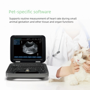 Kleur Doppler Power Doppler Gepulseerde Doppler Dierenarts Huisdierspecifieke Draagbare Ultrasone Detector Veterinaire Apparatuur Ce Gecertificeerde Klasse - Product Image 2