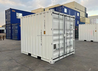 Conteneur de transport de marchandises sèches mini portable de 10 pieds certifié CSC, norme ISO, marque ACE, à vendre