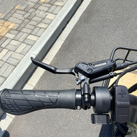 Nouveau Tricycle Électrique Cargo Édition Premium Double Moteur avec Assistance au Pédalage, Moteur Arrière 250W 48V, Batterie Lithium 15Ah, Frein à Disque