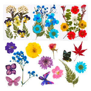 DM493-rellenos natrales de flores secas prensadas, hojas de plantas, espécimen, pegatina de mariposa, arte de resina artesanal para Decoración - Product Image 3