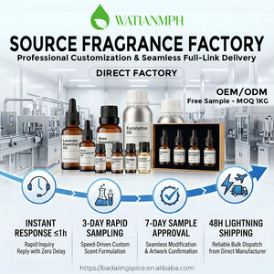 Huiles parfumées <span class=keywords><strong>pour</strong></span> bougies en gros, haute concentration, longue durée, parfum personnalisé, <span class=keywords><strong>huile</strong></span> parfumée <span class=keywords><strong>pour</strong></span> la fabrication de bougies et de savons - Product Image 6