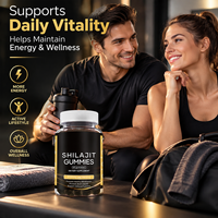 Gummies de Shilajit en Vente Directe d'Usine, 60 unités, avec Acide Fulvique pour la Vitalité Quotidienne et le Métabolisme – Compléments Alimentaires