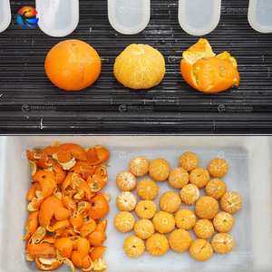 سيتروس ماندارين تلقائي برتقالي من الماندرين في من من من من من من من من من خلال ناقل من من من من من من من من من من من من من من من من من من من من من من من من من من من من من من من من من من من من من من من من من من من من من من من من من من من من من من من من - Product Image 3