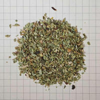 Thé Naturel à Base de Plantes pour le Soutien Immunitaire, Sans Caféine, Complément Santé, Sachets de Boisson Quotidienne pour le Bien-être Adulte, Extrait, Marque Privée OEM/ODM