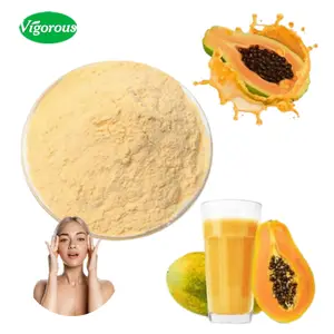 Instant Juice Powder 100% pure natural Fruit Flavour Powder papaya flavor organic papaya fruit powder