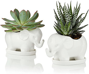 TGYW Dropshipping Pots à succulentes en <span class=keywords><strong>céramique</strong></span> en forme d'éléphant, jardinières pour plantes d'intérieur et d'<span class=keywords><strong>extérieur</strong></span>, <span class=keywords><strong>cactus</strong></span> - Product Image 2