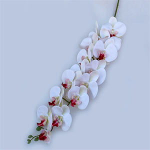 Vente en gros <span class=keywords><strong>de</strong></span> <span class=keywords><strong>15</strong></span> têtes <span class=keywords><strong>de</strong></span> fleurs d'orchidée Phalaenopsis artificielles à longue tige, toucher réaliste, grandes, pour la décoration <span class=keywords><strong>de</strong></span> la maison et des mariages - Product Image 5