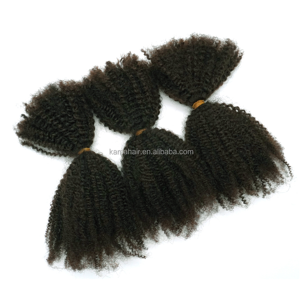 Wholesale Virgin Hair High Quality 18 Inches 4B 4C Brazilian 100% Afro Kinky Human Bulk Hair for DreadLocks Crochet Braiding Detail Section 1