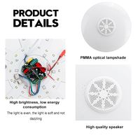 Plafonnier musical moderne, éclairage d'intérieur, lampe de plafond intelligente, lampe de plafond télécommandée
