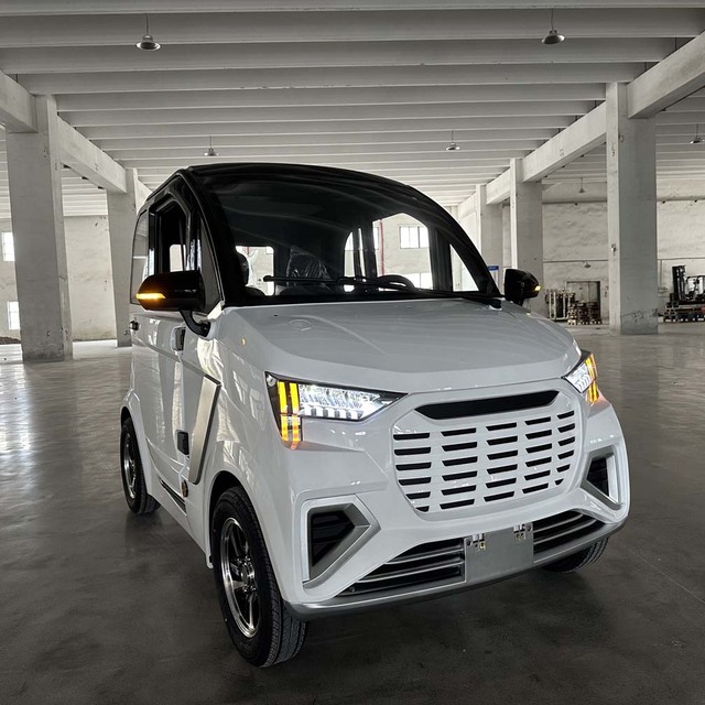 Chinese Left Hand Drive Max Speed 45km/h Mini Pure Electric Vehicle Ev Car for Elderly