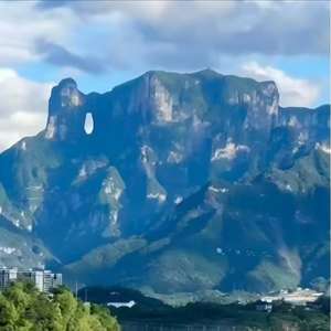 We <span class=keywords><strong>Tea</strong></span> in Zhangjiajieで、Gro <span class=keywords><strong>Tea</strong></span> Plantsw a Natural Wild高高度およびPollutionfree TeaHigh高品質カスタマイズホワイトティー - Product Image 4