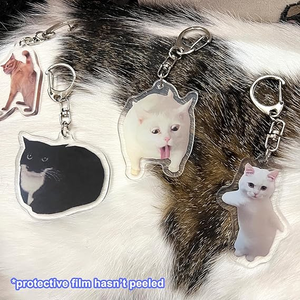 Vente chaude : 8 porte-clés en acrylique légers et imperméables avec des chats mignons, des chats qui parlent, des mèmes de chats - Product Image 5