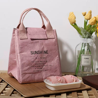 Sac isotherme Tyvek personnalisé multi-usages pour pique-nique, écologique, réutilisable, imperméable, pour le bureau, pour femmes et hommes