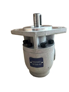 Composant d'équipement d'ingénierie pour pelle rétrocaveuse, pompe à engrenages CBF-E40-ALP - Product Image 6