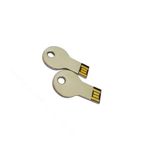 Odm Laptops Bulk 32Gb 64Gb 128Gb 256Gb 64Mb 128Mb Memory Stick Keychain Thumb Chain Usb Suppliers Key Flash Drive