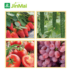 <span class=keywords><strong>Engrais</strong></span> NPK Équilibré 15-15-10 à l'Extrait d'Algues pour le Développement des Racines et la Croissance des Plantes - <span class=keywords><strong>Engrais</strong></span> Biologique Composé en Poudre - Product Image 4