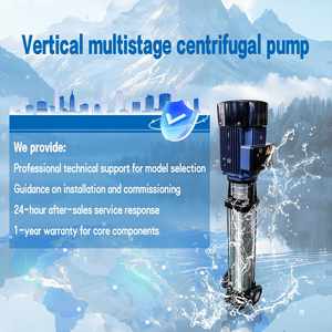 High Performance Vertical Multistage Centrifugal <b>Pumps</b> Compact Design for Versatile Installation - Product Image 2