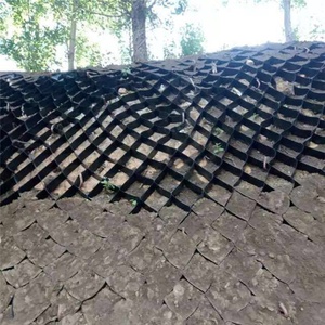 Géocellules en HDPE de 50 mm de hauteur, nid d'abeilles pour <span class=keywords><strong>gravier</strong></span>, pour allées, routes et murs de soutènement, prix compétitif pour stabilisateurs de sol - Product Image 5