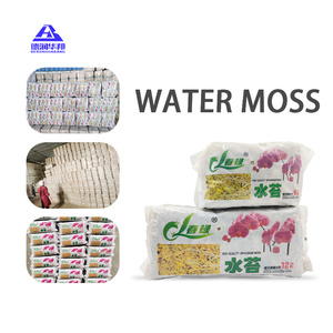 HB HB-51121SL Mousse de Sphagnum pour la culture des champignons, substrat, accélérateur de compost et fertilité du sol, rétention d'humidité 1-10 cm - Product Image 1