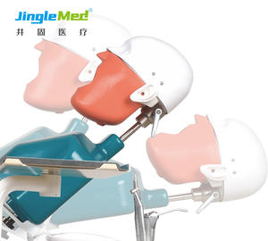 Testa fantasma modellata per l'insegnamento dentale dello studente di medicina in vendita - Product Image 2