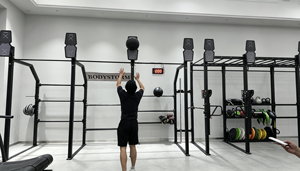 Equipo de Gimnasio 2 en 1: Plataforma de Entrenamiento <span class=keywords><strong>CrossFit</strong></span>, <span class=keywords><strong>Trineo</strong></span> de Empuje y Arrastre, Pared de Bolas, Rack Funcional Dual, Ahorro de Espacio - Product Image 6