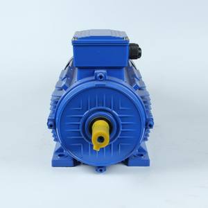 Moteurs électriques basse tension AC/DC, moteur électrique triphasé, haute efficacité énergétique, économie d'énergie, moteur à faible bruit - Product Image 4