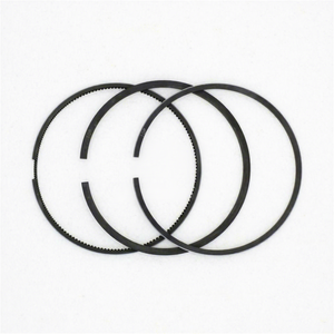 Anillo de pistón SL07-23-206, juego de un cilindro STD, compatible con el motor MAZDA SL, para anillo de pistón RIK, para TP, para NPR 100*2.5+2+4.5 - Product Image 2