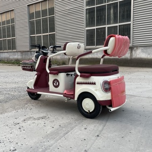 Triciclo eléctrico de pasajeros para adultos Mini sedán eléctrico para recoger y dejar vehículos de carga para niños - Product Image 2