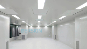 שירותי תכנון ובניית חדרים נקיים מודולריים, כולל פתרונות HEPA, מידות בהתאמה אישית, חדש מבית דרסון - Product Image 3