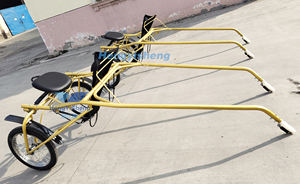 Carruaje de Caballos Vis a Vis de Lujo, Estilo Inglés, de Cuatro Ruedas, para Paseos Turísticos, Vagoneta Antigua Tirada por Caballos - Product Image 5