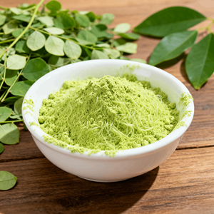 Terbaik penjual 100% murni alami liar daun Moringa bubuk Ekstrak organik makanan kelas Moringa daun bubuk kemasan Drum - Product Image 3