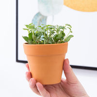 Mini kit de pot en terre cuite au design classique avec soucoupe pour la culture intérieure de plantes succulentes, de cactus et de fleurs sur le bureau