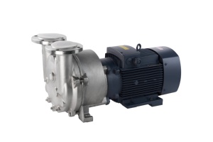 2BV Edelstahl Flüssigkeitsring-Luft-/Wasserring-Vakuumpumpe für Industrielle Anwendungen mit Anpassbarer Unterstützung - Product Image 5