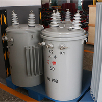 Transformateur immergé dans l'huile monophasé à double enroulement Shenmeng S1NM de haute qualité, monté sur poteau, 10 kV 480 V 50/60 Hz, sans carte PCB, entièrement assemblé