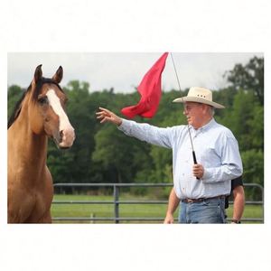 2024 Custom Logo Training Horse Guide Flag Vivid Color Pennant Retractable Fiberglass Telescope <b>Pole</b> <b>Hook</b> Lunge New Nylon - Product Image 4