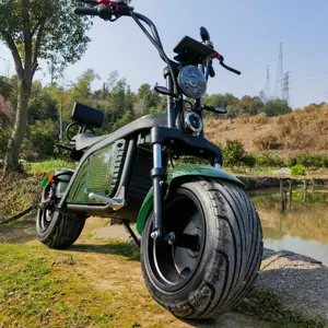 Nhà Kho Châu Âu Chất Lượng Tốt Và Giá Rẻ Tốc Độ Cao Cấp 150Cc Scooter Xe Máy 60V 20AH 2000 Wát