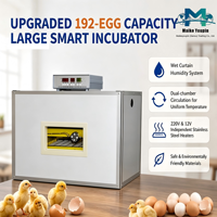 Incubateur entièrement automatique de 192 œufs, double alimentation (AC220V/DC12V), système de retournement à 360°, température automatique, OEM