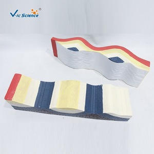 Simulador del movimiento de la corteza terrestre, experimento de pliegues y fracturas geográficas, equipo de enseñanza de geografía para escuelas secundarias. - Product Image 4