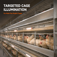 Lumière Supplémentaire LED pour Cage à Volailles 1,8W, Design Compact pour Zones Étroites et Zones Sombres dans les Systèmes de Cages à Plusieurs Niveaux