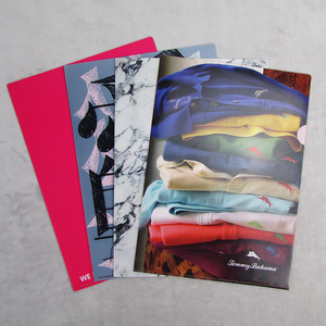 Trong suốt PP giữ tập tin cho tài liệu thư mục <span class=keywords><strong>L</strong></span> hình dạng giữ tập tin <span class=keywords><strong>A4</strong></span> biểu tượng tùy chỉnh thư mục - Product Image 6