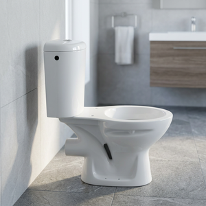 Inodoro de Cerámica Premium de Dos Piezas, Montado en el Suelo, con Doble Descarga y Sifón en P, Fabricado en India - Product Image 1