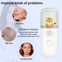 Vaporizador Facial Nano con Logotipo Personalizado, Dispositivo Portátil de Vapor Facial Hidratante para el Cuidado de la Piel, Salón, Hogar y Viajes