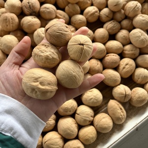 Mitades y Trozos de Nuez de Primera Clase Ricos en <span class=keywords><strong>Omega</strong></span>-<span class=keywords><strong>3</strong></span>, Refrigerio Saludable Vegano - Product Image 2