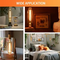 Ampoule LED Edison vintage grande taille TT80, verre fumé ambré, ampoule à filament intérieure TT24, sans scintillement, ampoule à filament LED décorative