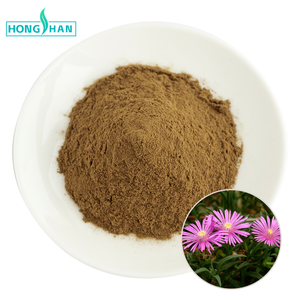 Extracto de <span class=keywords><strong>Lampranthus</strong></span> Spectabilis en Polvo de Grado Alimenticio Natural 10:1 - Product Image 1
