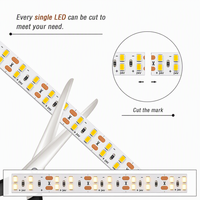 Bande lumineuse LED SMD 24V 2835, 240 LED/M, double rangée, 10 mm, flexible, découpable, PCB blanc, 5 m/rouleau